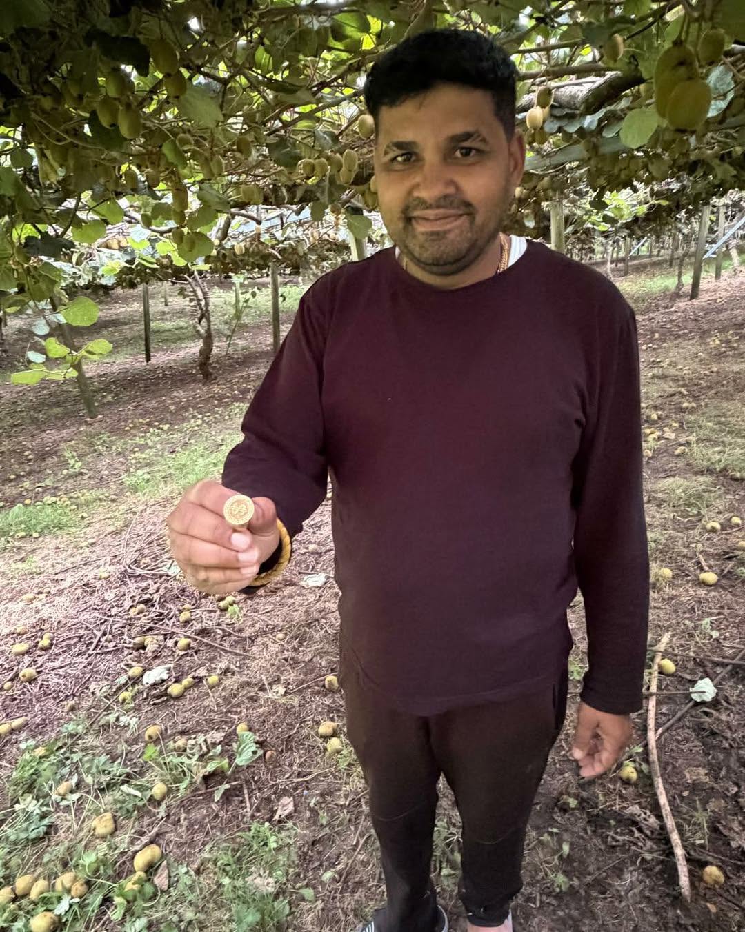 Striking Gold Under the Kiwifruit Vines 🥝💍
