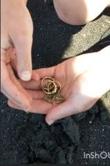 Tapuae Beach Recovery / Reuniting